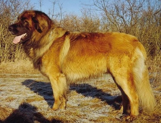 Bild "geschichte.jpg"